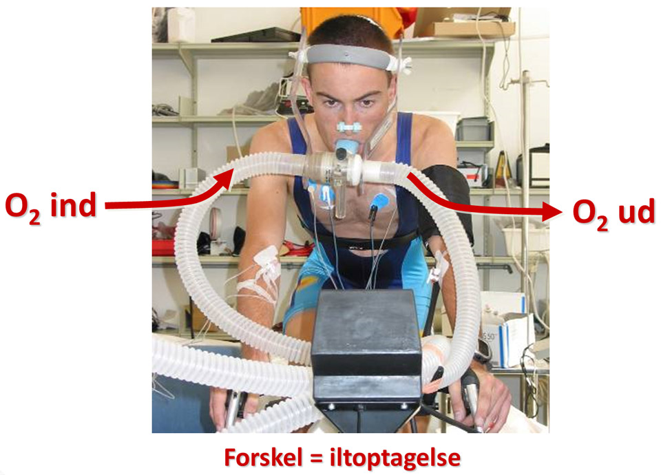 Måling af iltoptagelse