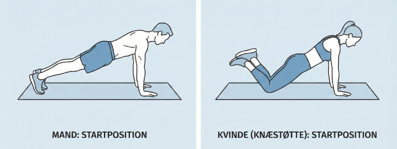 Illustration af korrekt startposition for push-ups for mænd og kvinder
